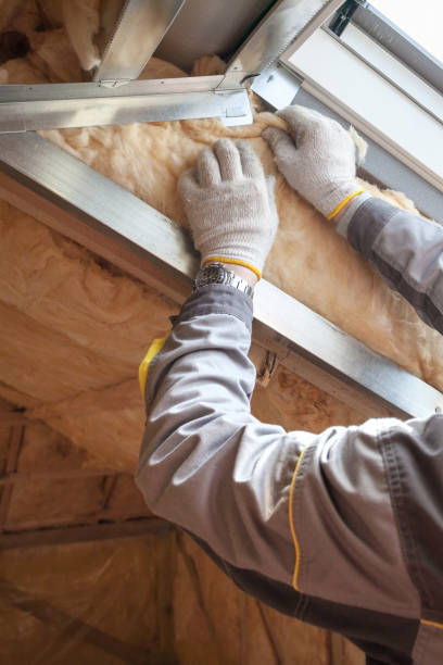 Best Wall Insulation Contractor  in Fort Stockton, TX