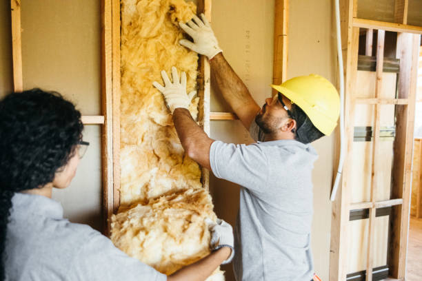 Best Attic Insulation Installation  in Fort Stockton, TX