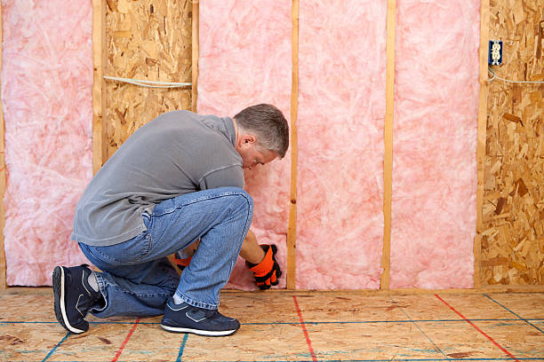 Best Insulation Contractor Near Me  in Fort Stockton, TX