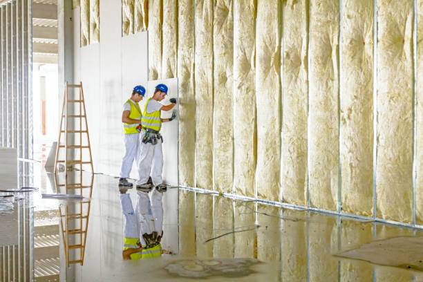 Best Garage Insulation Installation  in Fort Stockton, TX
